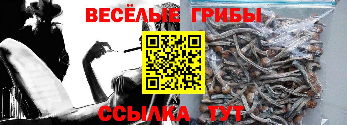 Псилоцибиновые грибы MAGIC MUSHROOMS  Псилоцибиновые грибы прущие грибы  Вход с VPN  Воскресенск 